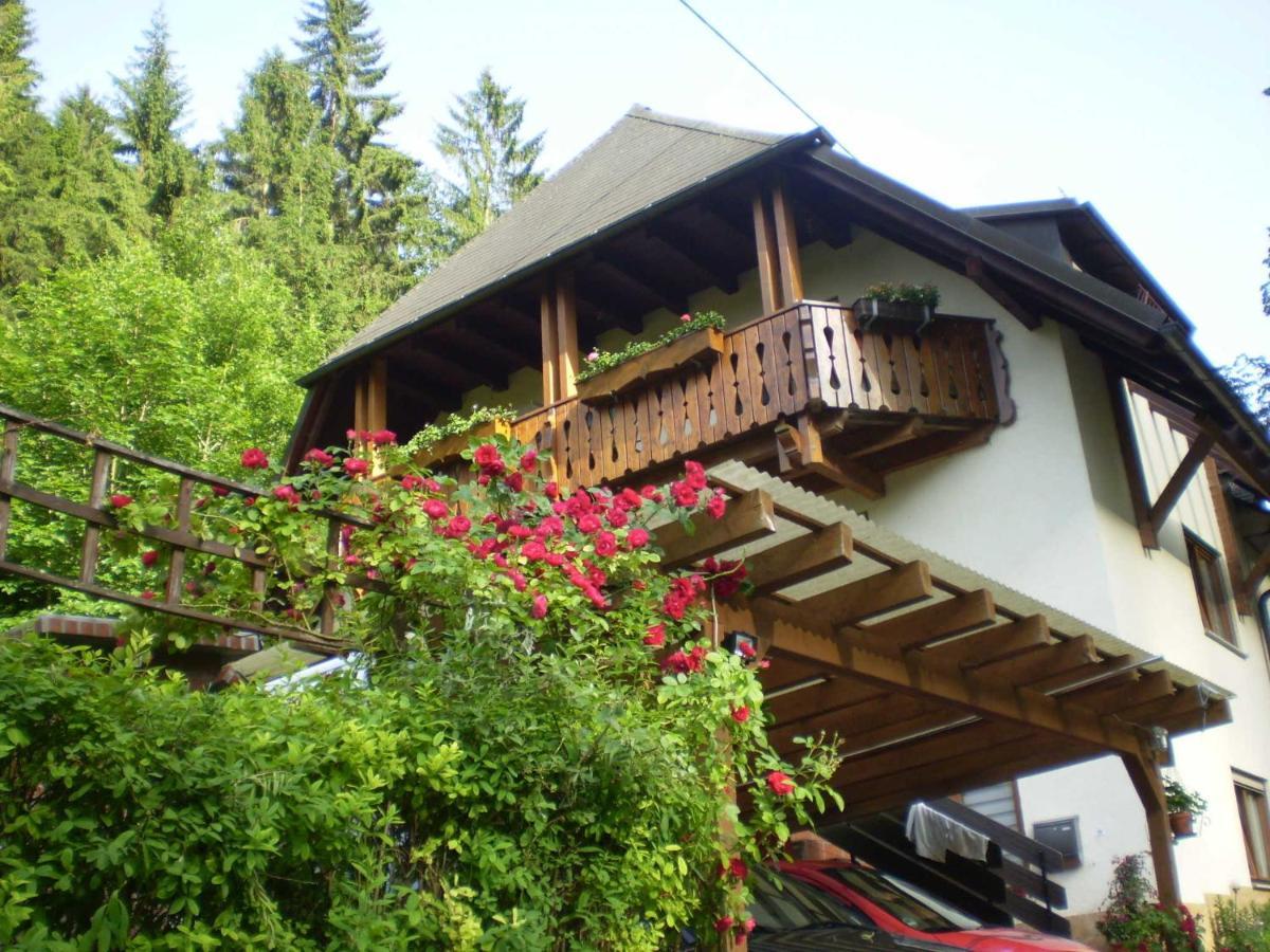 Haus Am Bach Apartment Freiburg im Breisgau Exterior photo